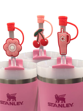 Swig Life Straw and Topper